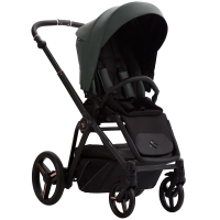 Bebetto Monti Pro 02 Stella 4.png