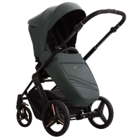 Bebetto Monti Pro 02 Stella 5.png