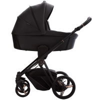 Bebetto Monti Pro 01 Stella 1.png