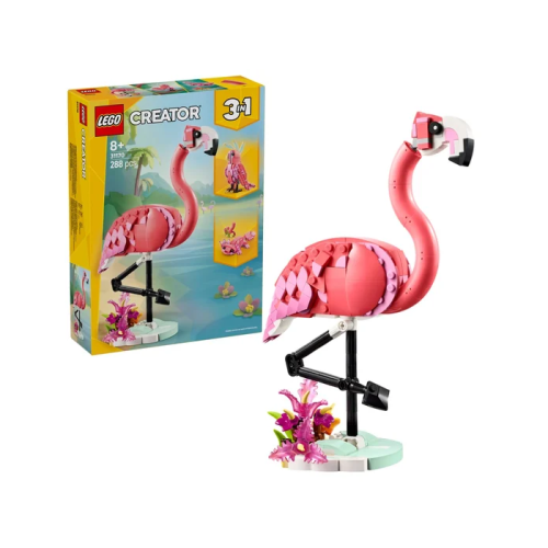 31170.png