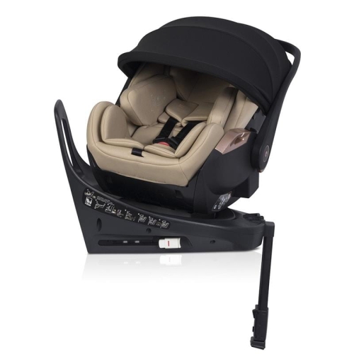 Cavoe AI Natural_1.jpg