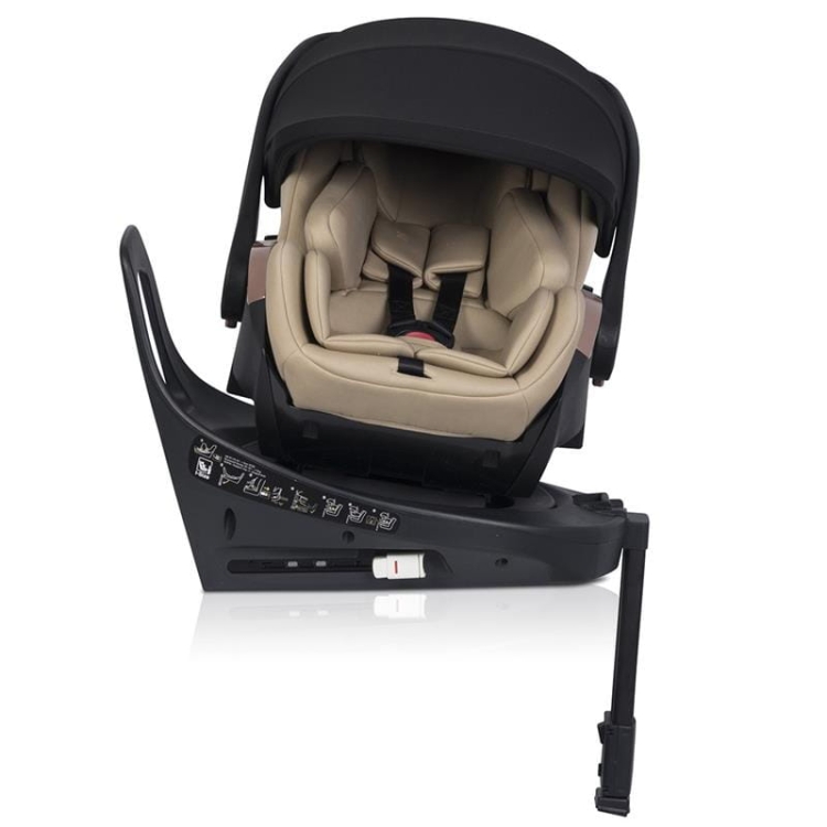 Cavoe AI Natural_3.jpg