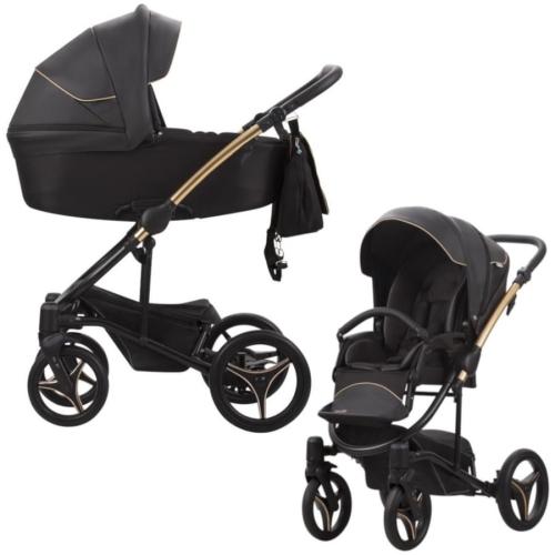 Torino Si 01 2w1a.jpg