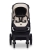 Cavoe Axo Shine Champagne-3.jpg