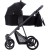 Bebetto Flavio 10 gondola1.png