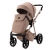 Adamex delta DN-5 Camel 5.jpg