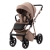 Adamex delta DN-5 Camel 6.jpg